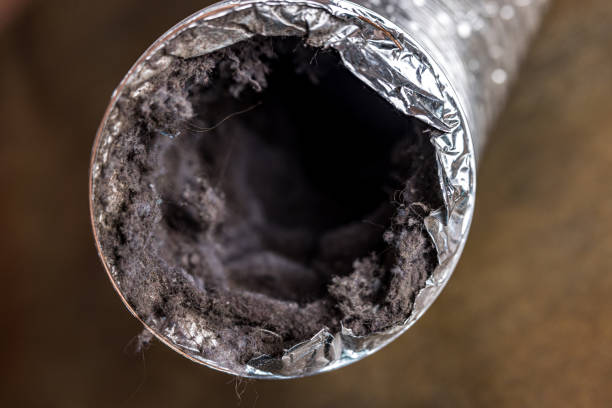 Best Air Duct Cleaning Near Me  in Mcgregor, FL